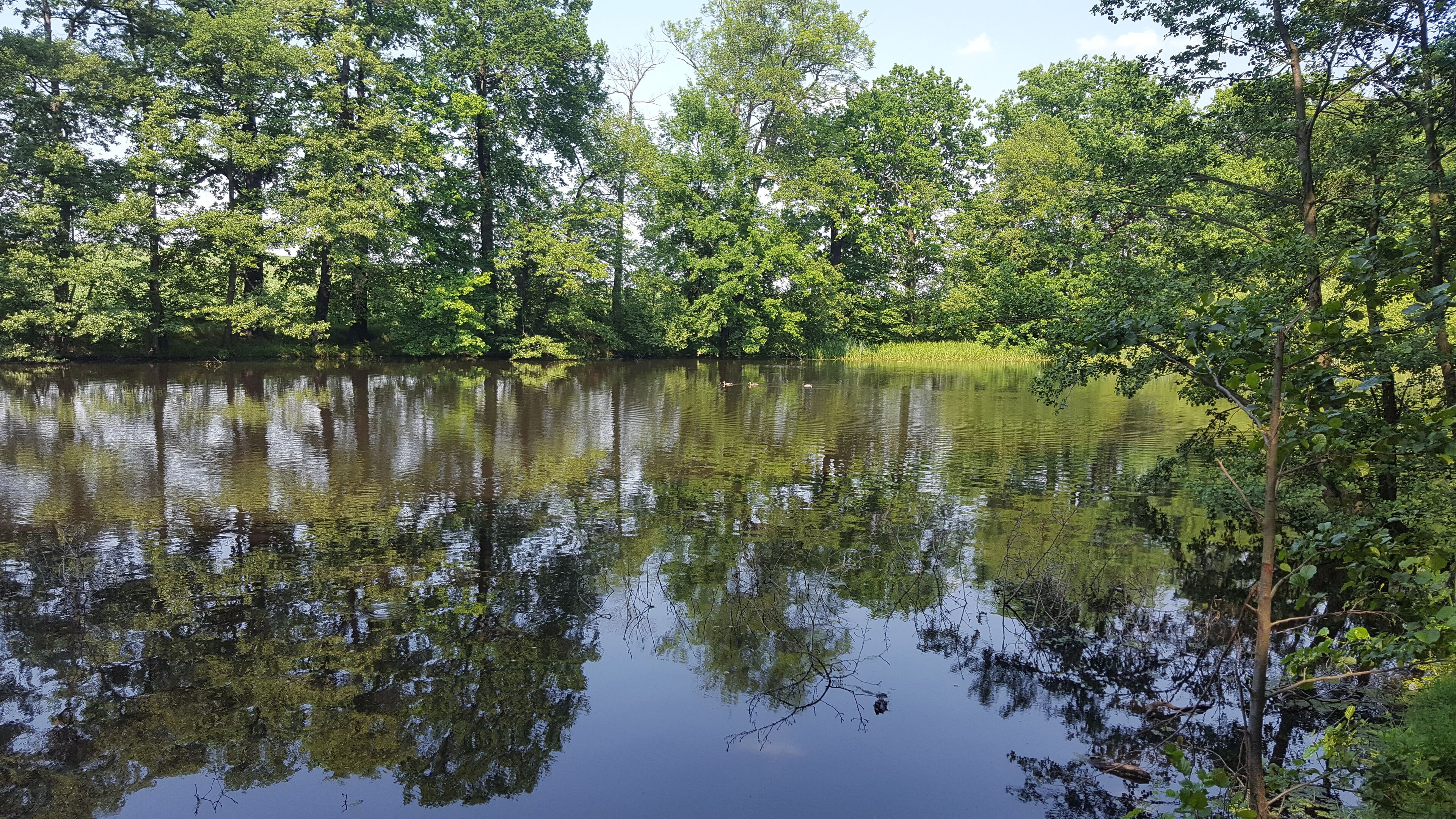 Hopfenbachtal. Schloßpark Naunhof. FHH-Gebiet: Hopfenbachtal, Gebietsnummer 4747-301. Landschaftsschutzgebiet.