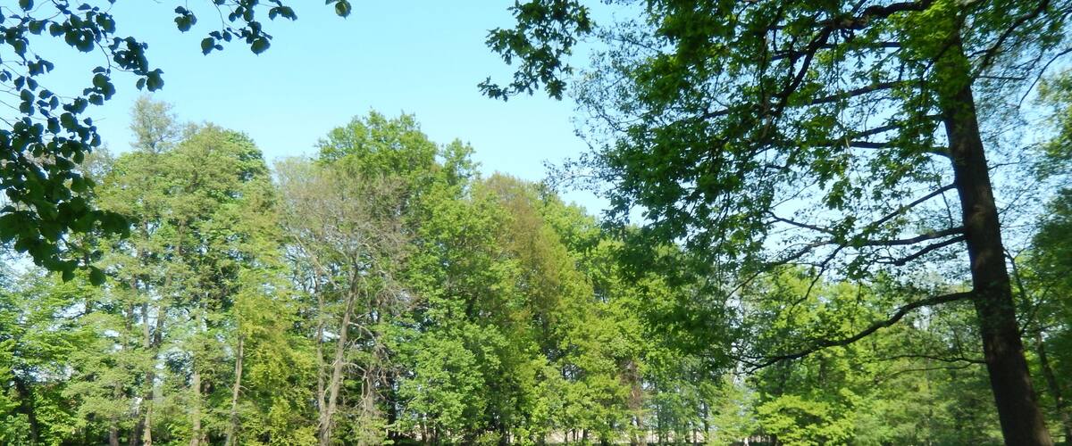 Hopfenbachtal. Schloßpark Naunhof FHH-Gebiet: Hopfenbachtal, Gebietsnummer 4747-301. Landschaftsschutzgebiet.