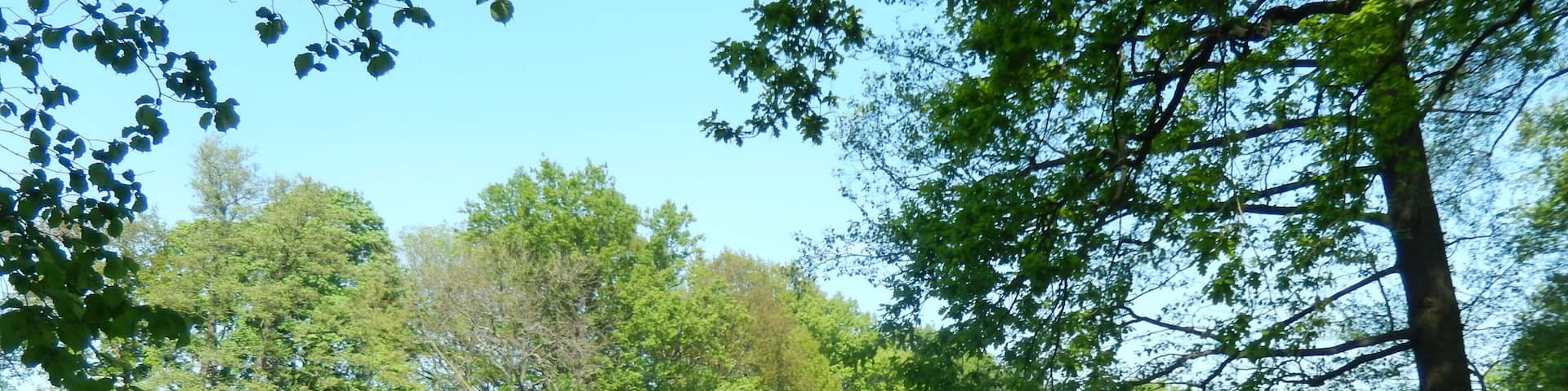 Hopfenbachtal. Schloßpark Naunhof FHH-Gebiet: Hopfenbachtal, Gebietsnummer 4747-301. Landschaftsschutzgebiet.