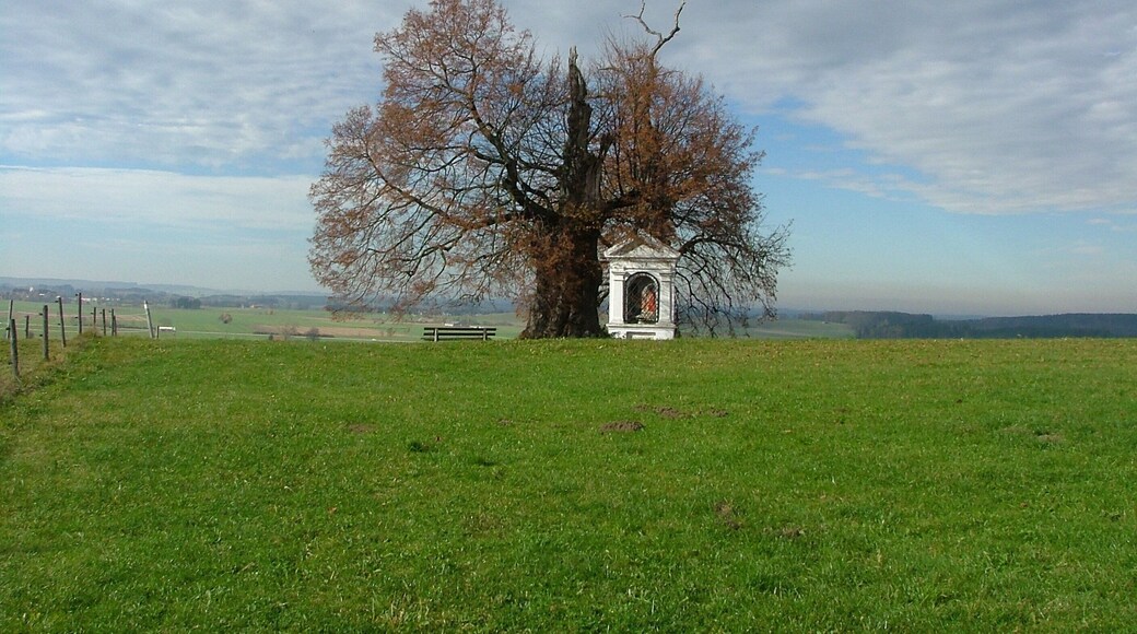 An der Georgibergstraße