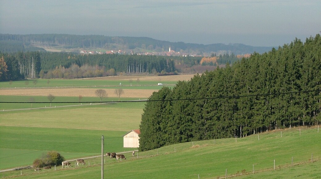 Blick über die B12 Richtung Beckstetten