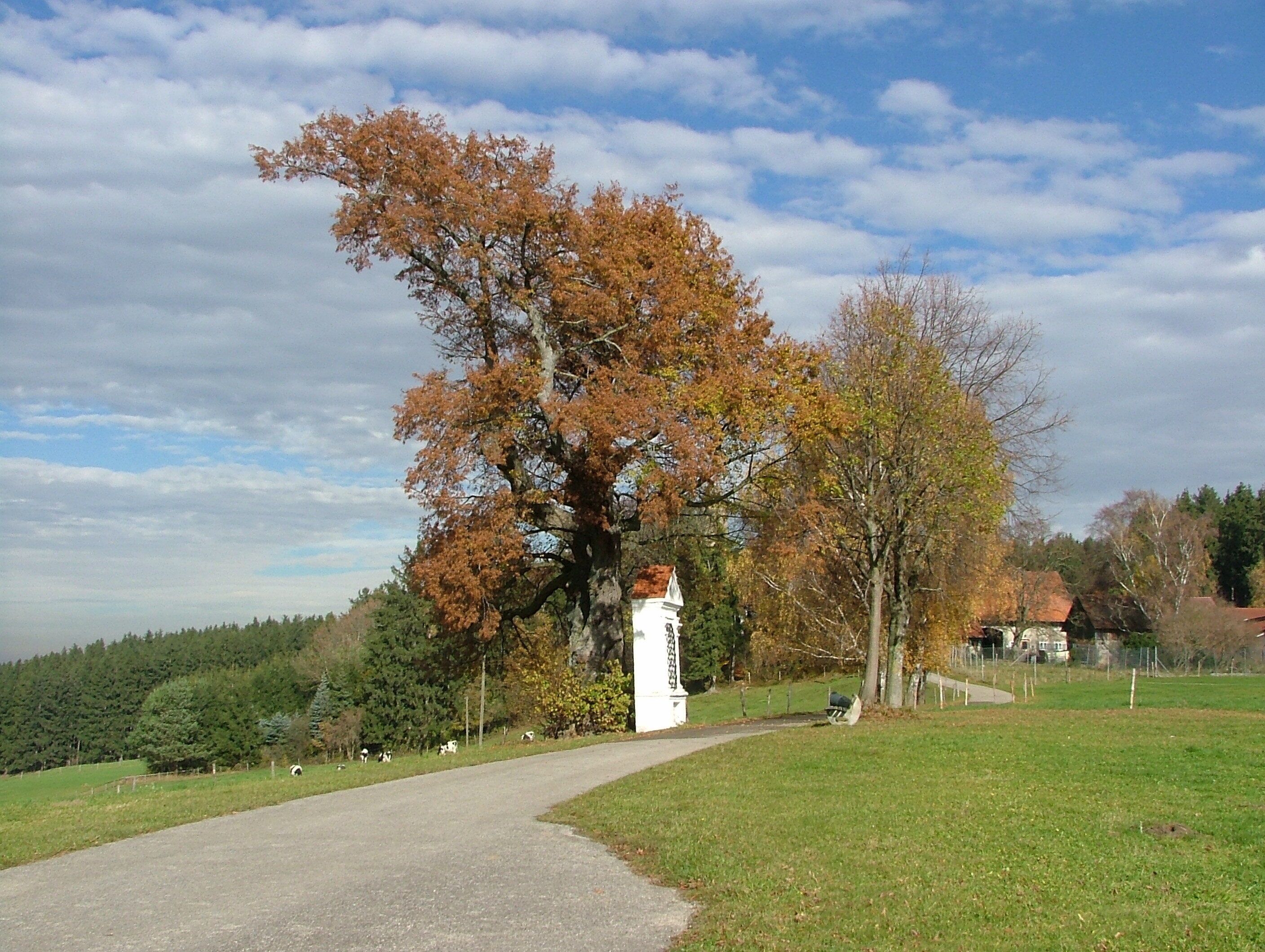 Kreuzweg zur Georgikirche
