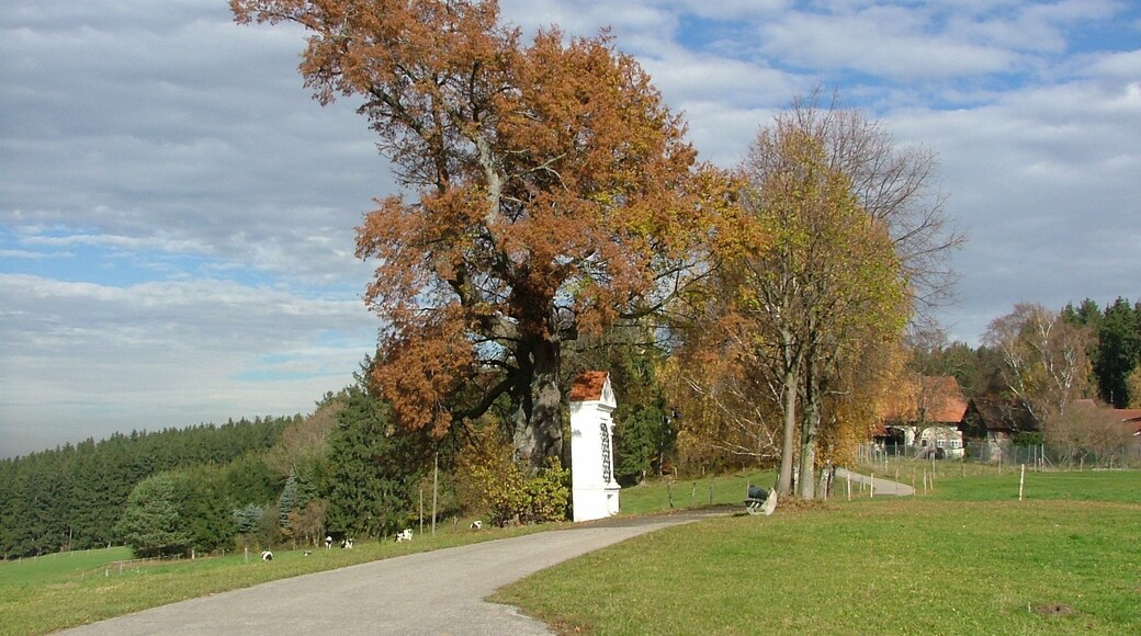 Kreuzweg zur Georgikirche