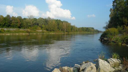 Donau mit Zufluss nach Bergheimer Staustufe