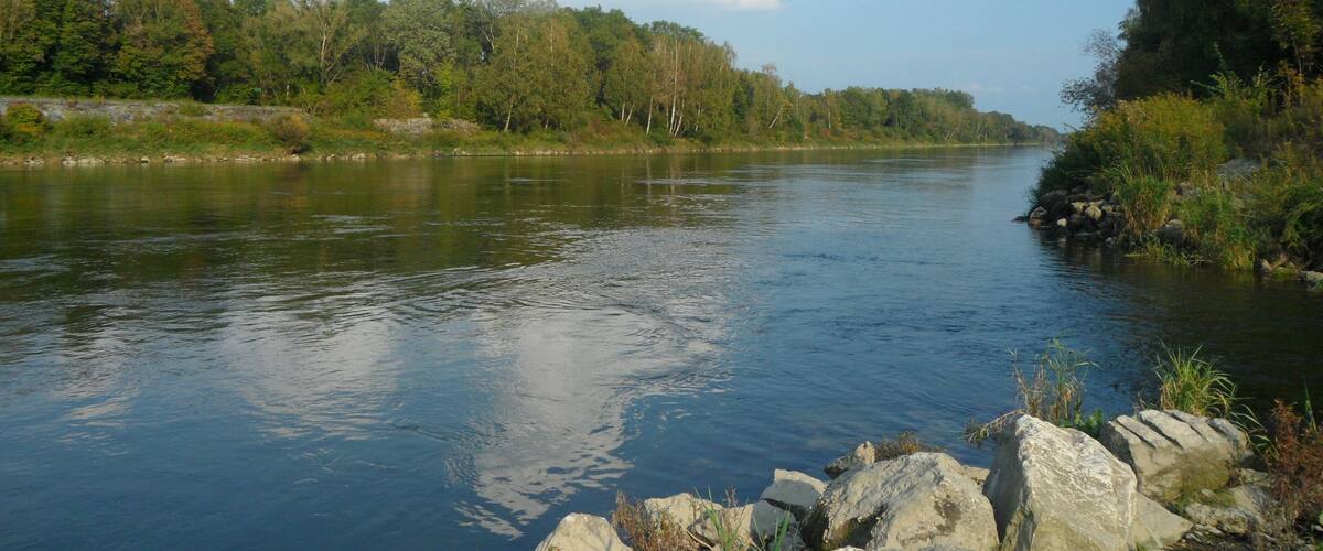 A calm river with rocks and trees on the banks.