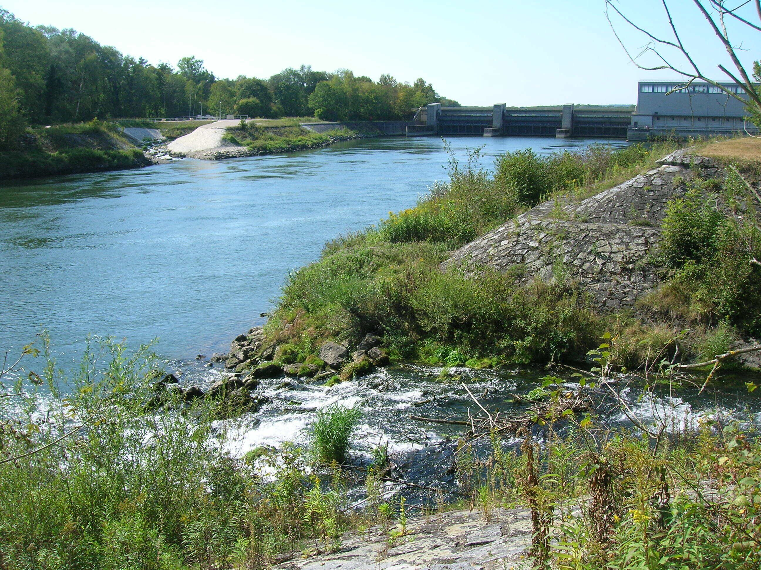 Donaustaustufe bei Neuburg