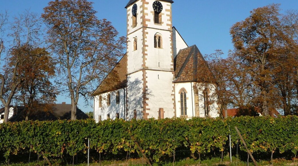 Der Wingert gehört seit Jahrhunderten zur Protestantischen Kirchengemeinde