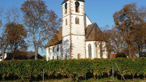 Der Wingert gehört seit Jahrhunderten zur Protestantischen Kirchengemeinde