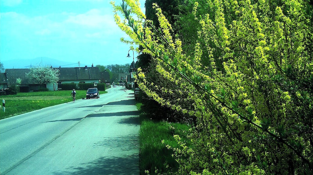 April Frühlingsfarben