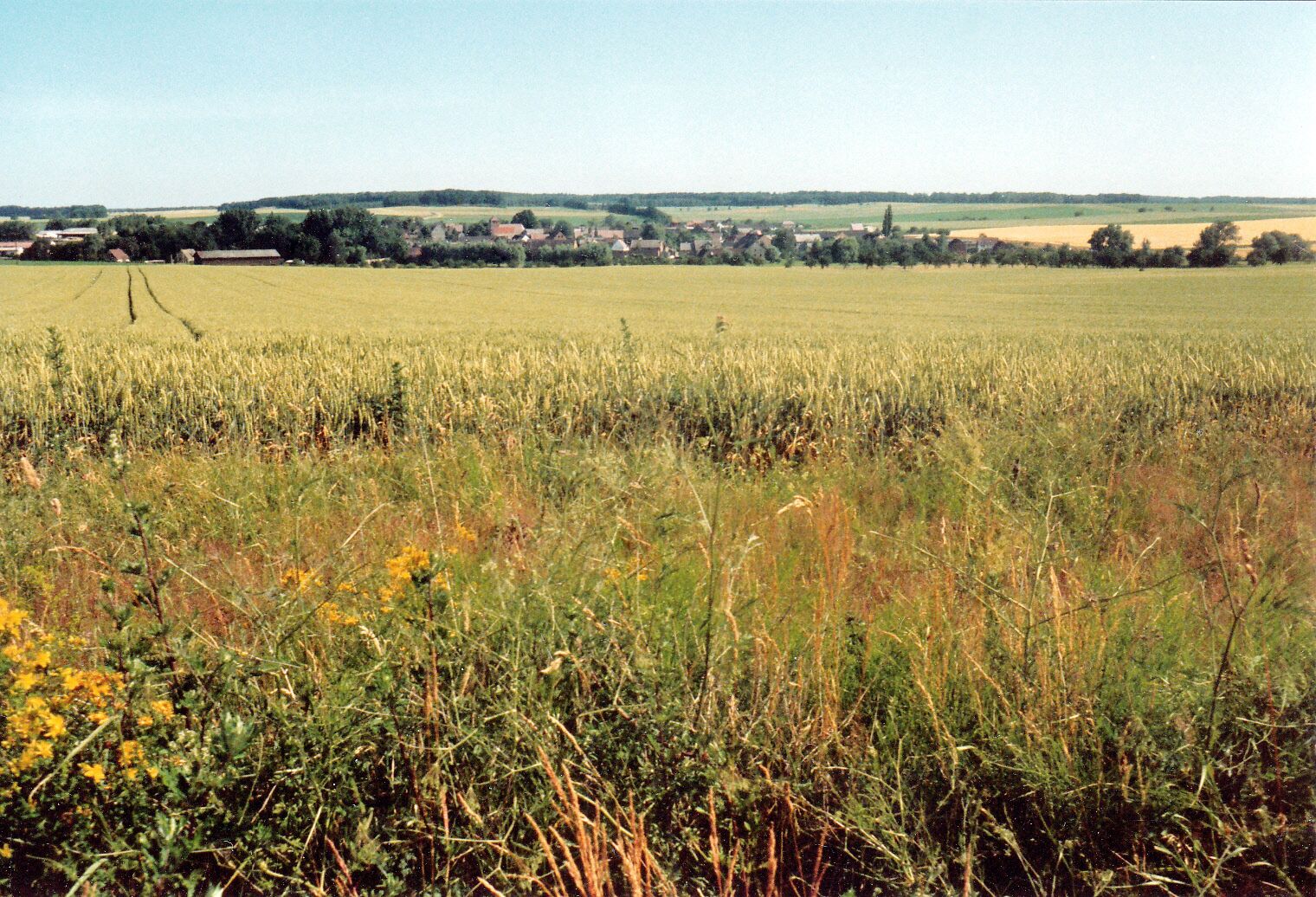 A rural landscape with a field of crops, a small village in the distance, and rolling hills.