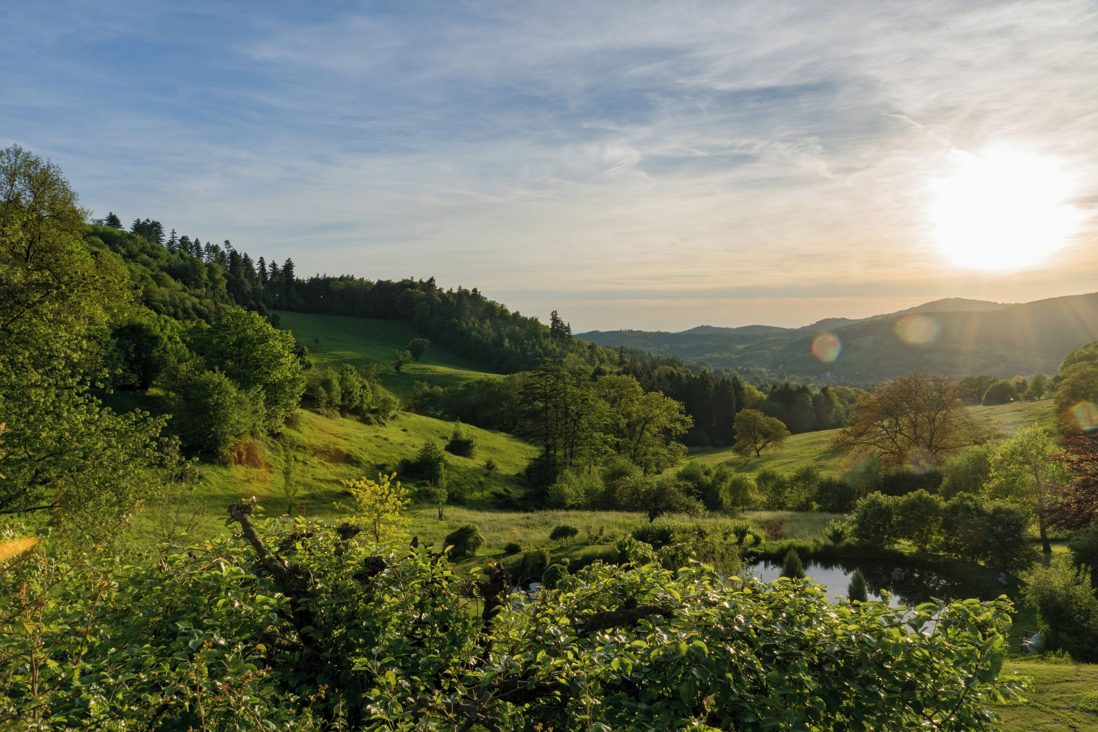 Geo-Naturpark_Bergstraße-Odenwald. Blick auf Lautertal-Reichenbach (Odenwald) vom Hofgut Hohenstein.