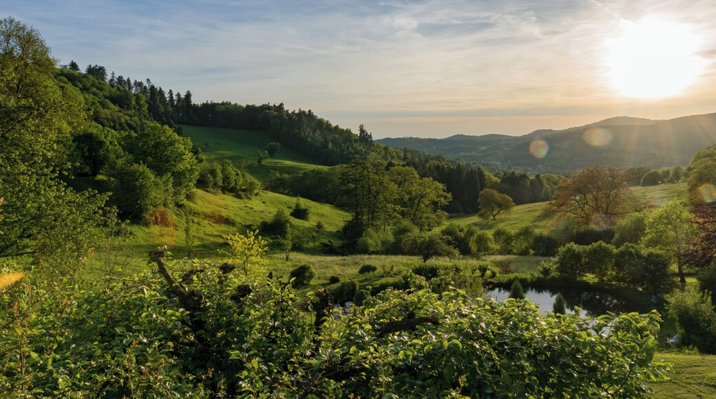 Geo-Naturpark_Bergstraße-Odenwald. Blick auf Lautertal-Reichenbach (Odenwald) vom Hofgut Hohenstein.