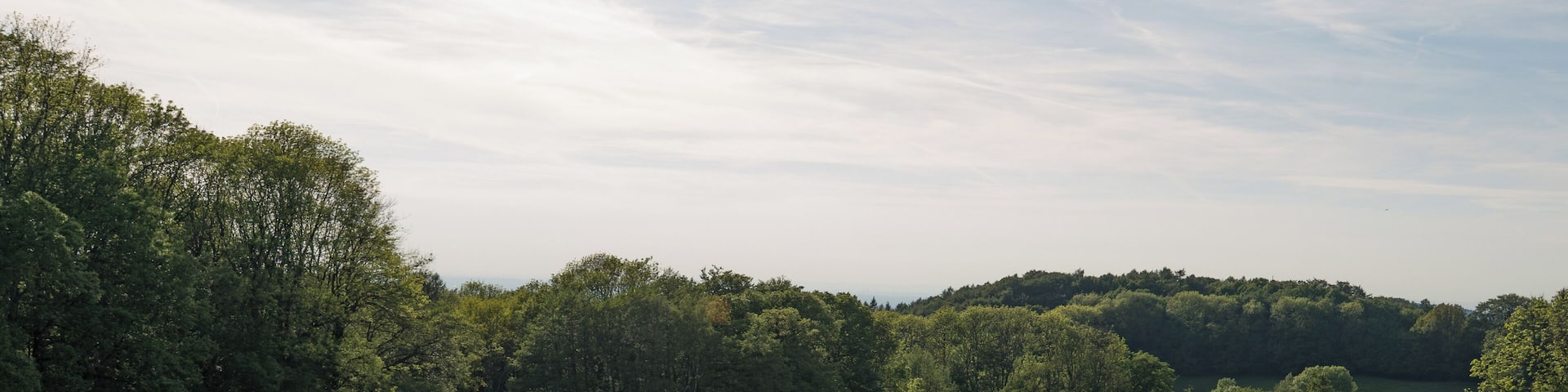 Naturschutzgebiet âSchannenbacher Moorâ (NSG 1431003) in Lautertal (Odenwald), Hessen