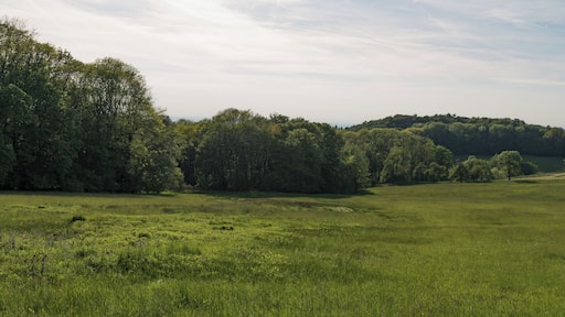 Naturschutzgebiet „Schannenbacher Moor“ (NSG 1431003) in Lautertal (Odenwald), Hessen