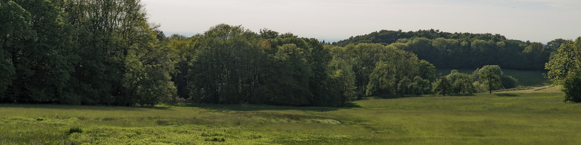 Naturschutzgebiet „Schannenbacher Moor“ (NSG 1431003) in Lautertal (Odenwald), Hessen