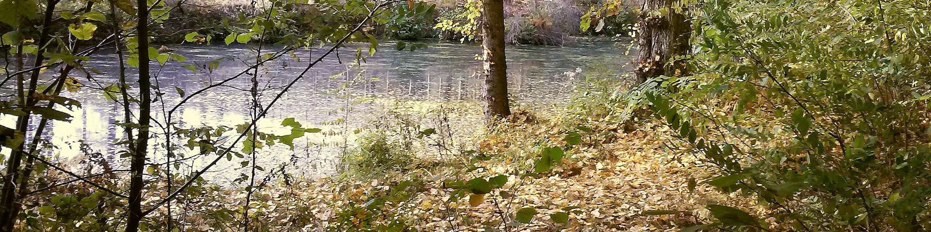 Herbst am KuthflieĂ bei EisenhĂŒttenstadt