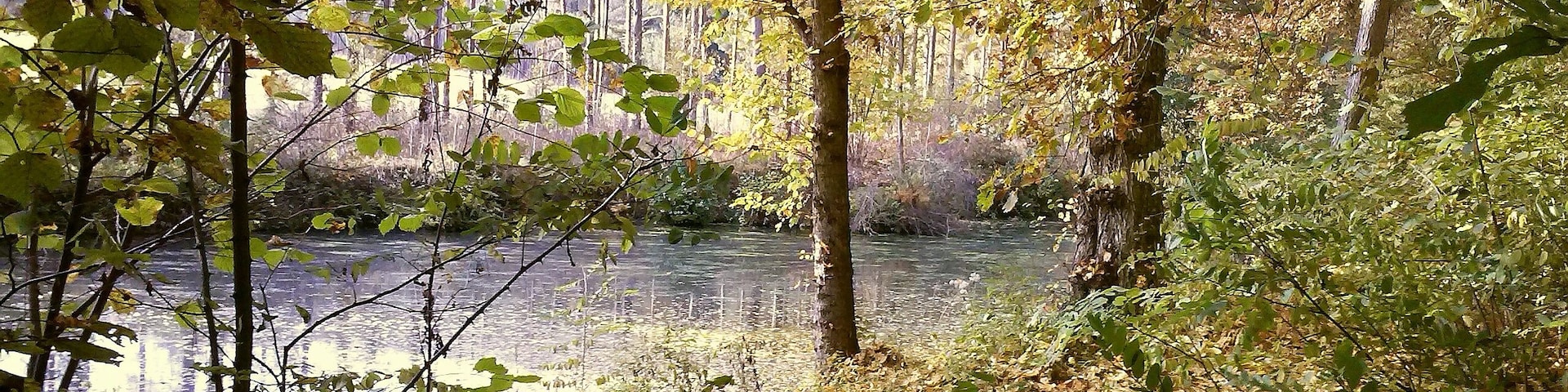 Herbst am Kuthfließ bei Eisenhüttenstadt