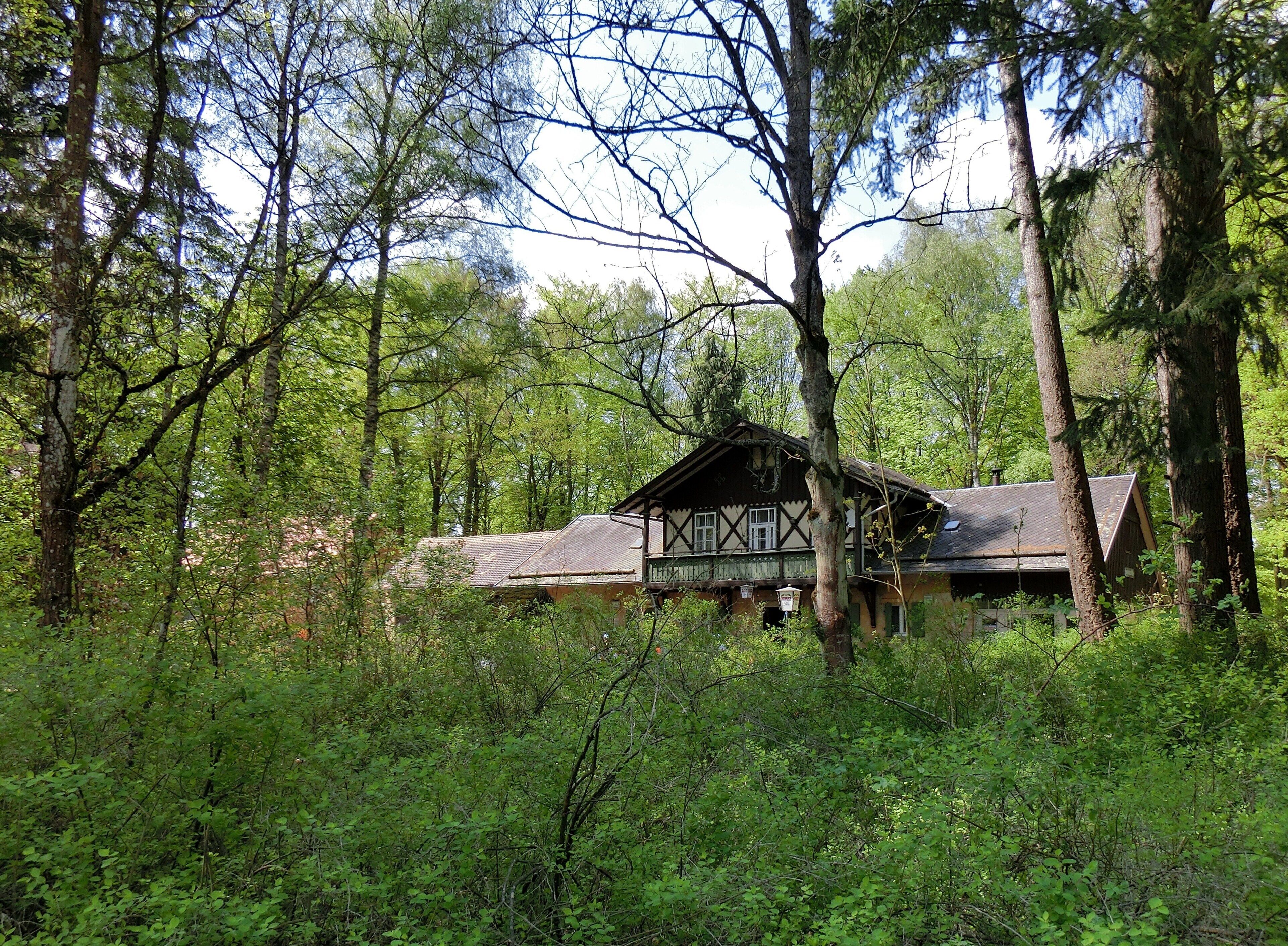 A traditional timber-framed house surrounded by dense forest.
