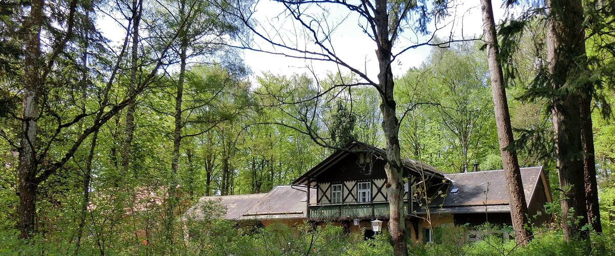 A traditional timber-framed house surrounded by dense forest.
