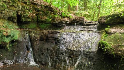 Rumpelbachschlucht, Geotop, Naturdenkmal, Vogelschutzgebiet Nürnberger Reichswald