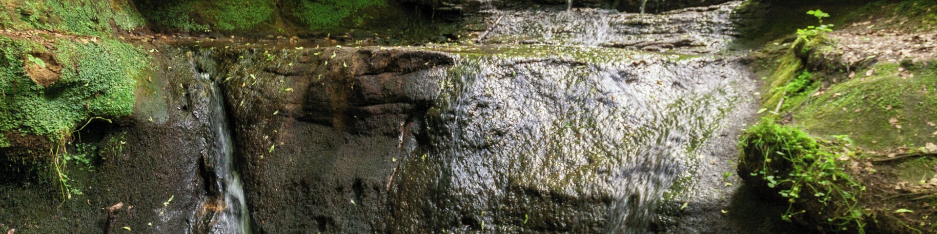 Rumpelbachschlucht, Geotop, Naturdenkmal, Vogelschutzgebiet Nürnberger Reichswald