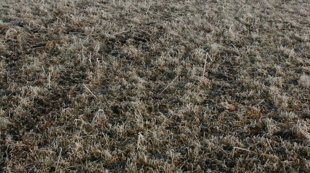 Seidenbuch, Fürth, Hessen.