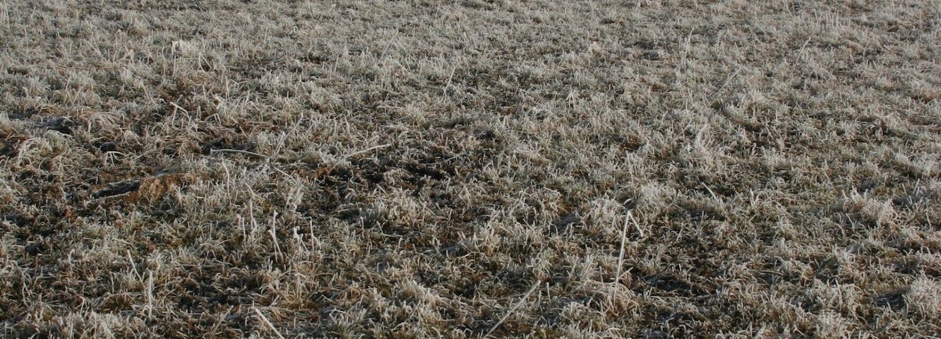 Seidenbuch, Fürth, Hessen.