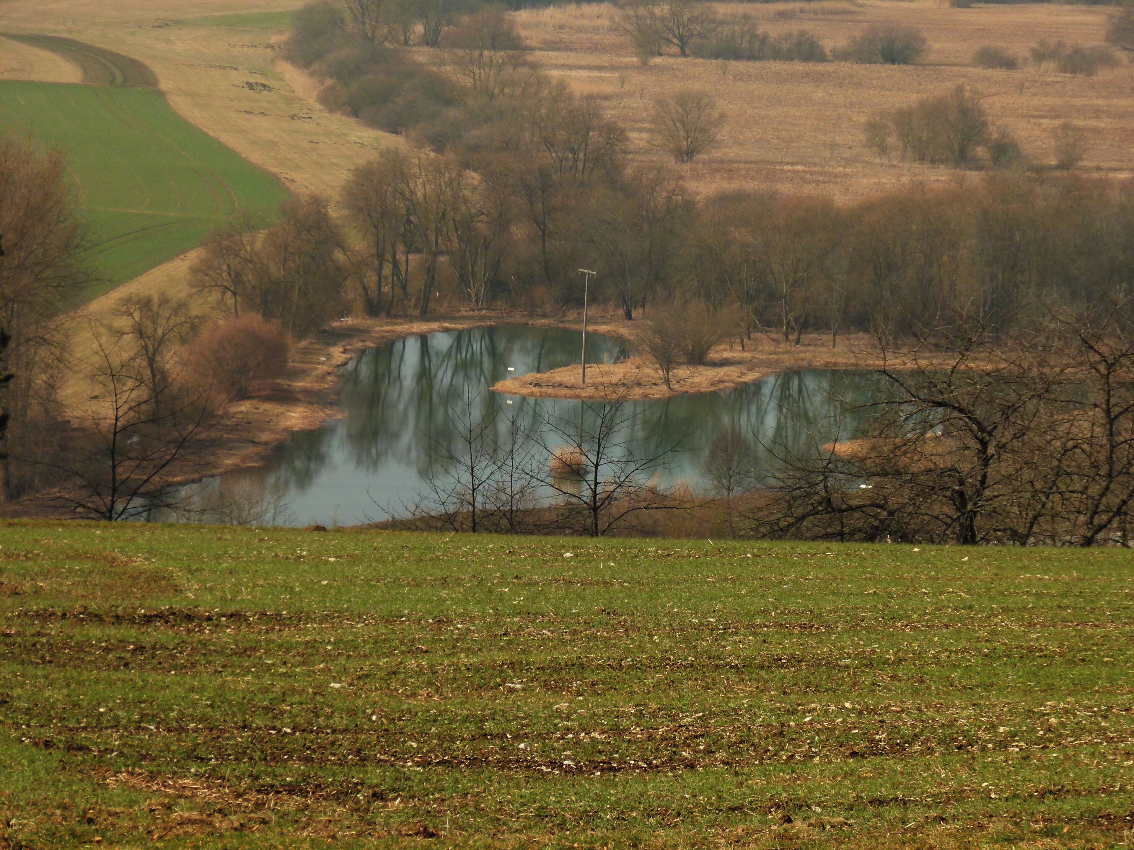 A river winding through a hilly landscape with sparse trees and a small bridge.