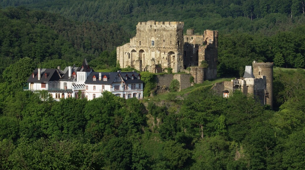 Reichenberg castle at Reichenberg near St. Goarshausen, Germany. View from south-western direction.