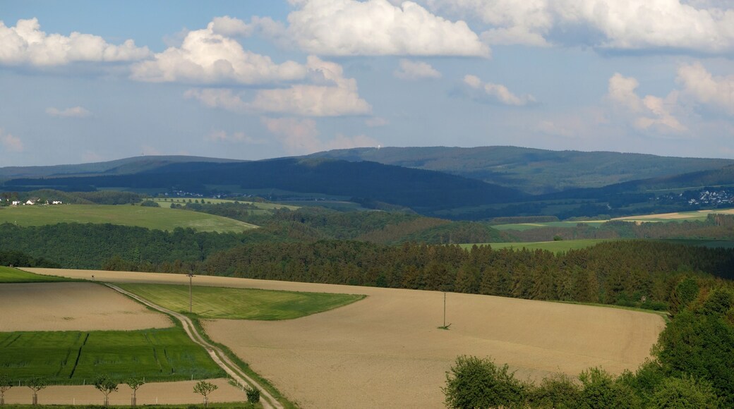 The Erbeskopf in the Hunsrück seen from West near Beuren