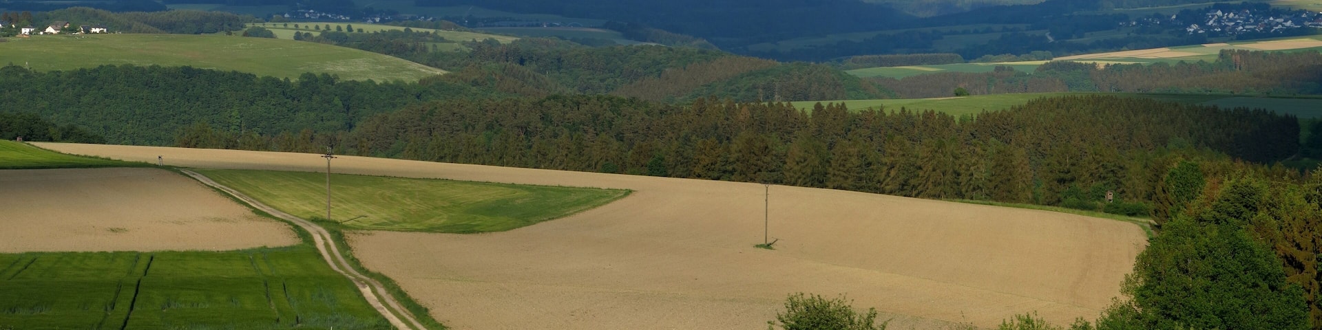 The Erbeskopf in the Hunsrück seen from West near Beuren