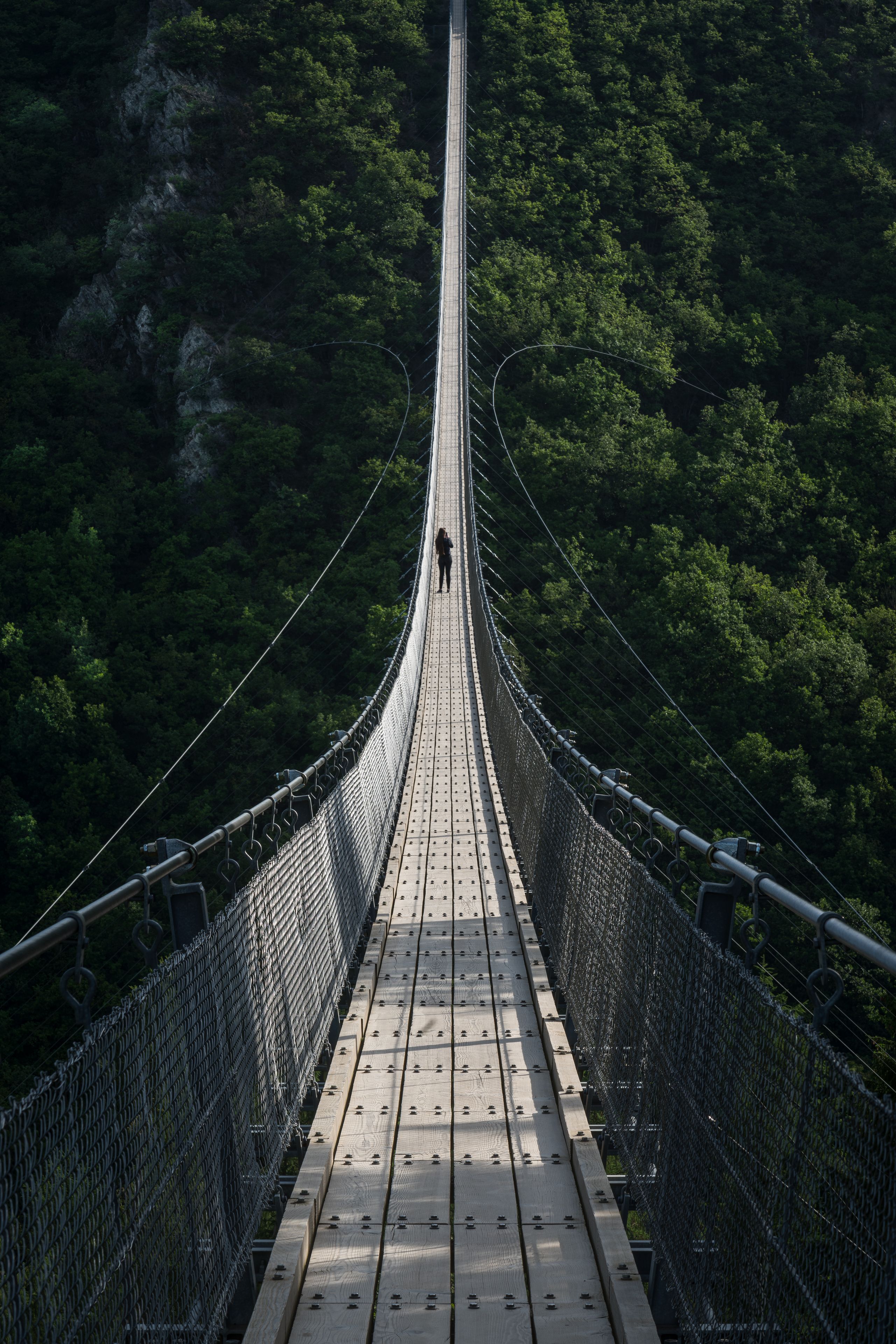 Un pont penjat amb una persona dempeus al passeig, envoltat de bosc dens.