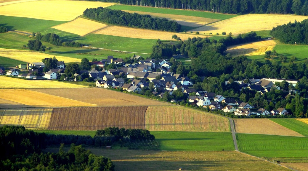 Luftbild Ballonfahrt RiesweilerâHasselbach: Niederkumbd