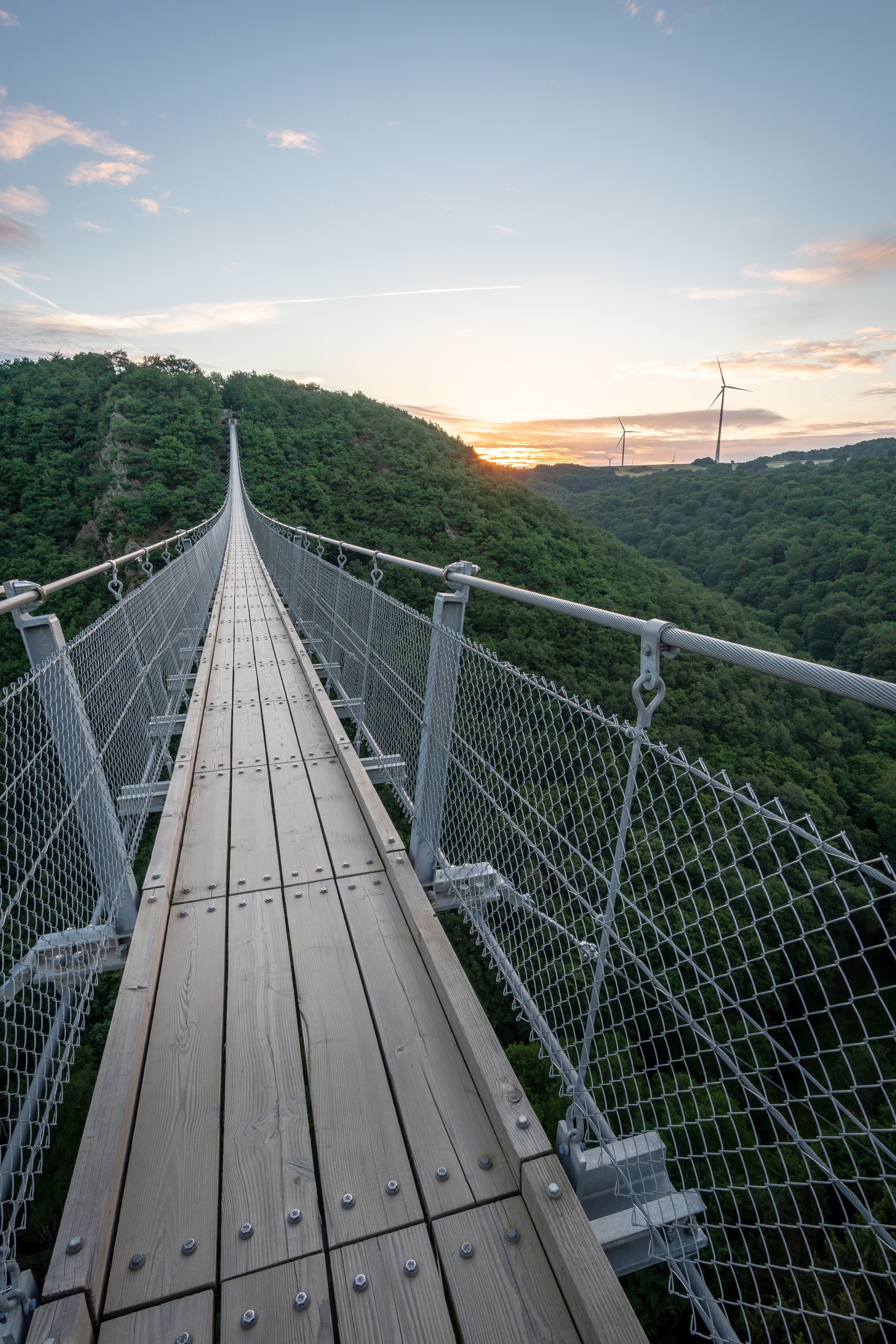 Un pont penjant de fusta i reixa metàl·lica, envoltat d'un bosc verd i un cel al capvespre.