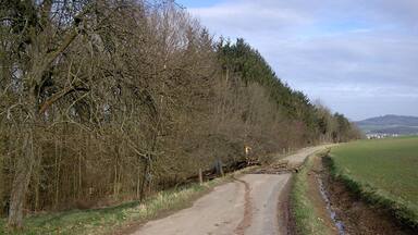 A rural dirt road winding through a forested area with a stream on the right.