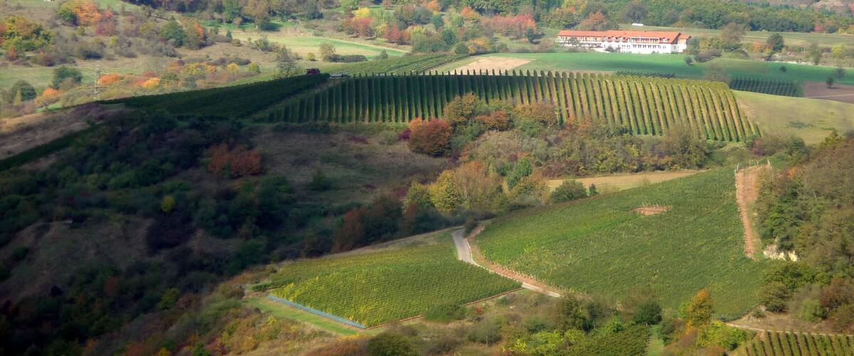 Blick vom Duchrother Gangelsberg über Leo's Ruh und dem Lindenhof in Bockenau zur Ellerspring - 2009-14-10