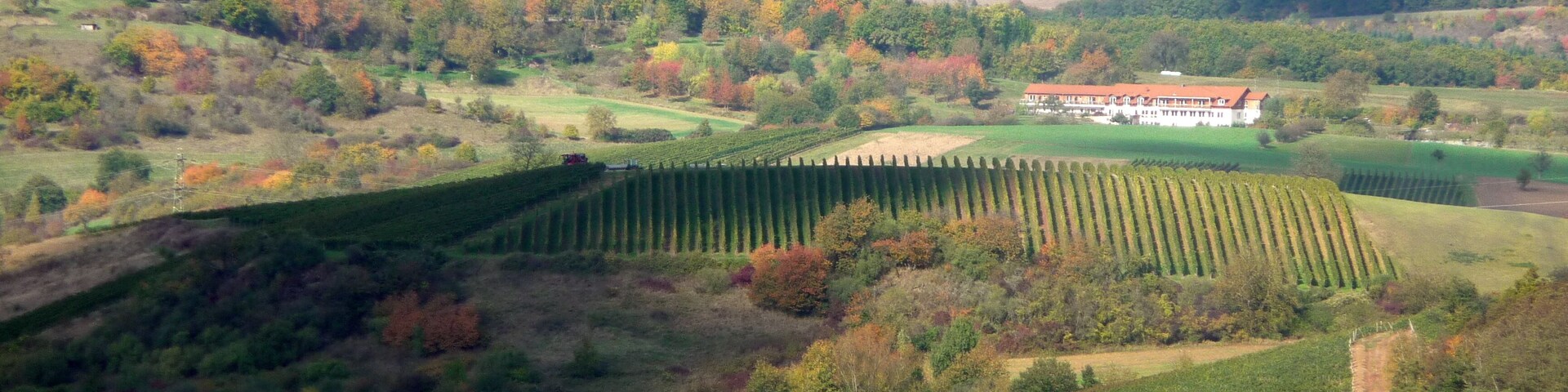 Blick vom Duchrother Gangelsberg über Leo's Ruh und dem Lindenhof in Bockenau zur Ellerspring - 2009-14-10