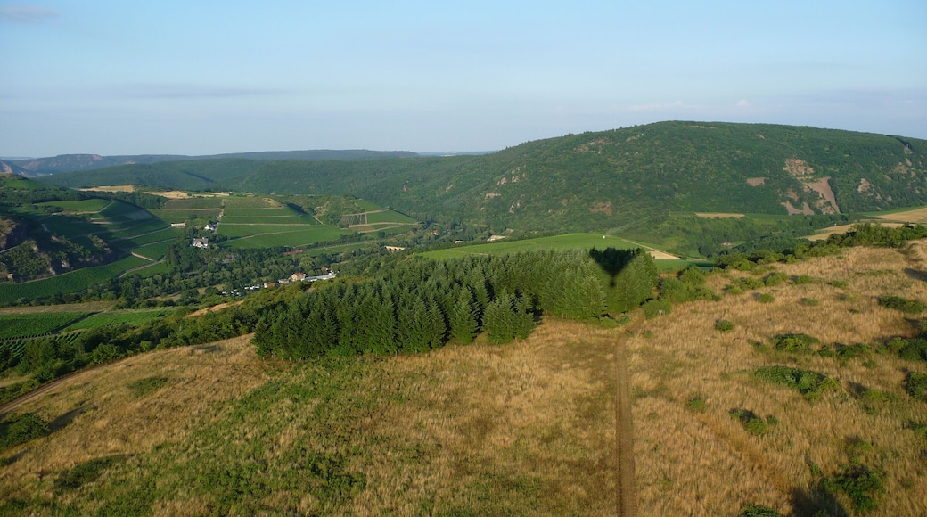 Nahetal mit ehem. Weinbaudomäne und Lemberg