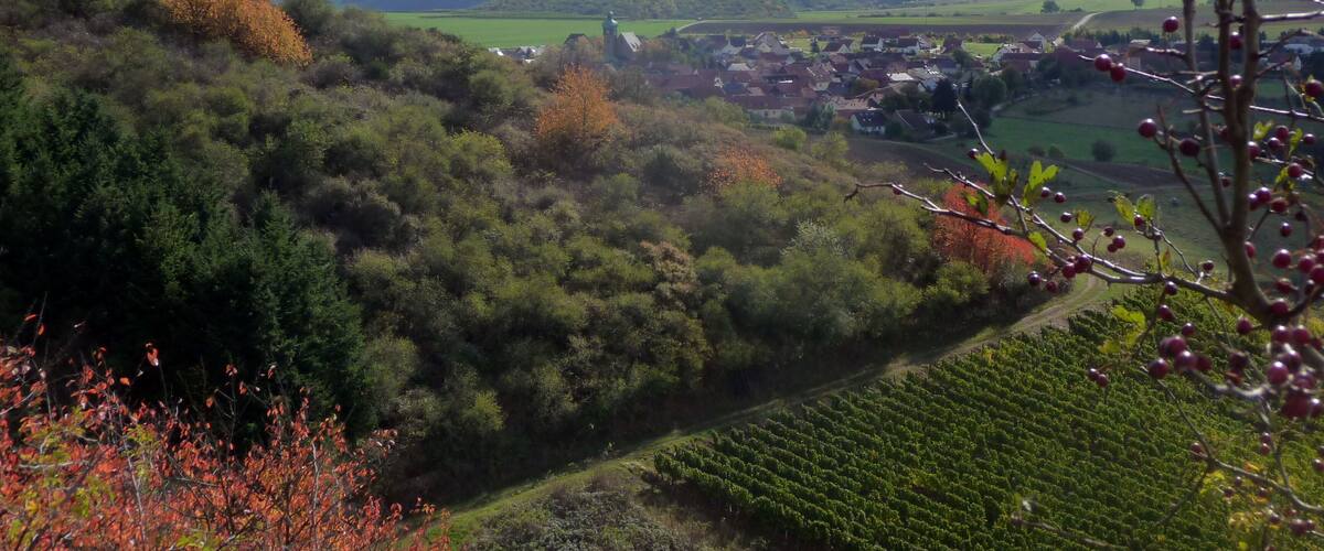 Duchroth vom Gangelsberg aus - 14.10.2009