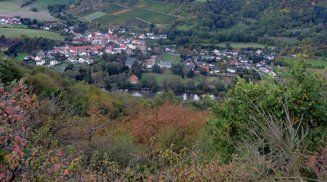 Boos an der Nahe von Gangelsberg aus - 2009-10-14
