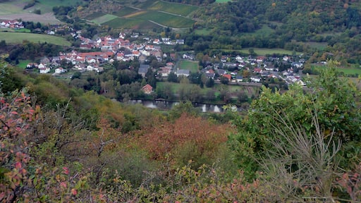 Boos an der Nahe von Gangelsberg aus - 2009-10-14