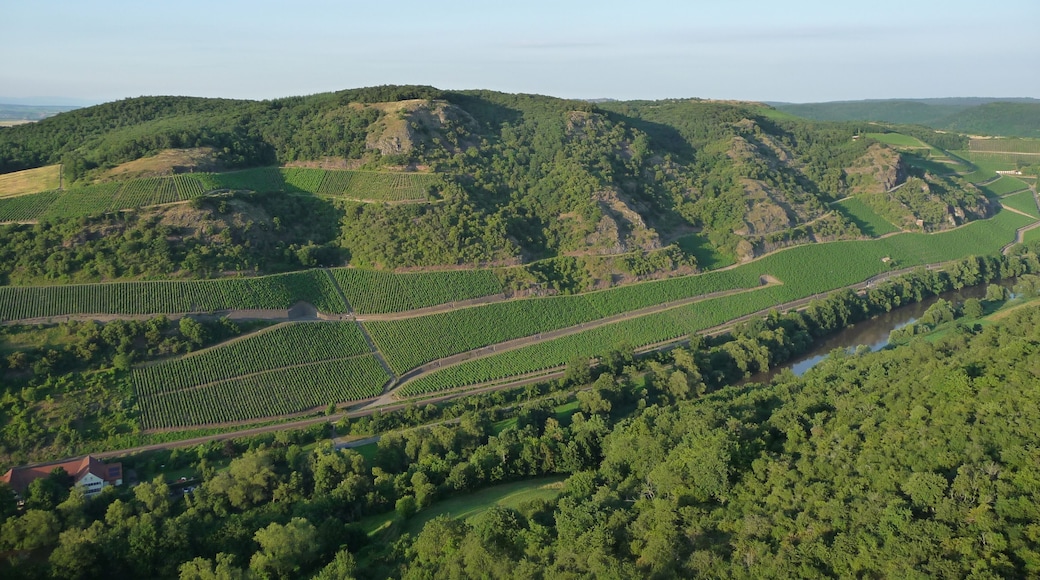 Nahetal am Niederthäler Hof