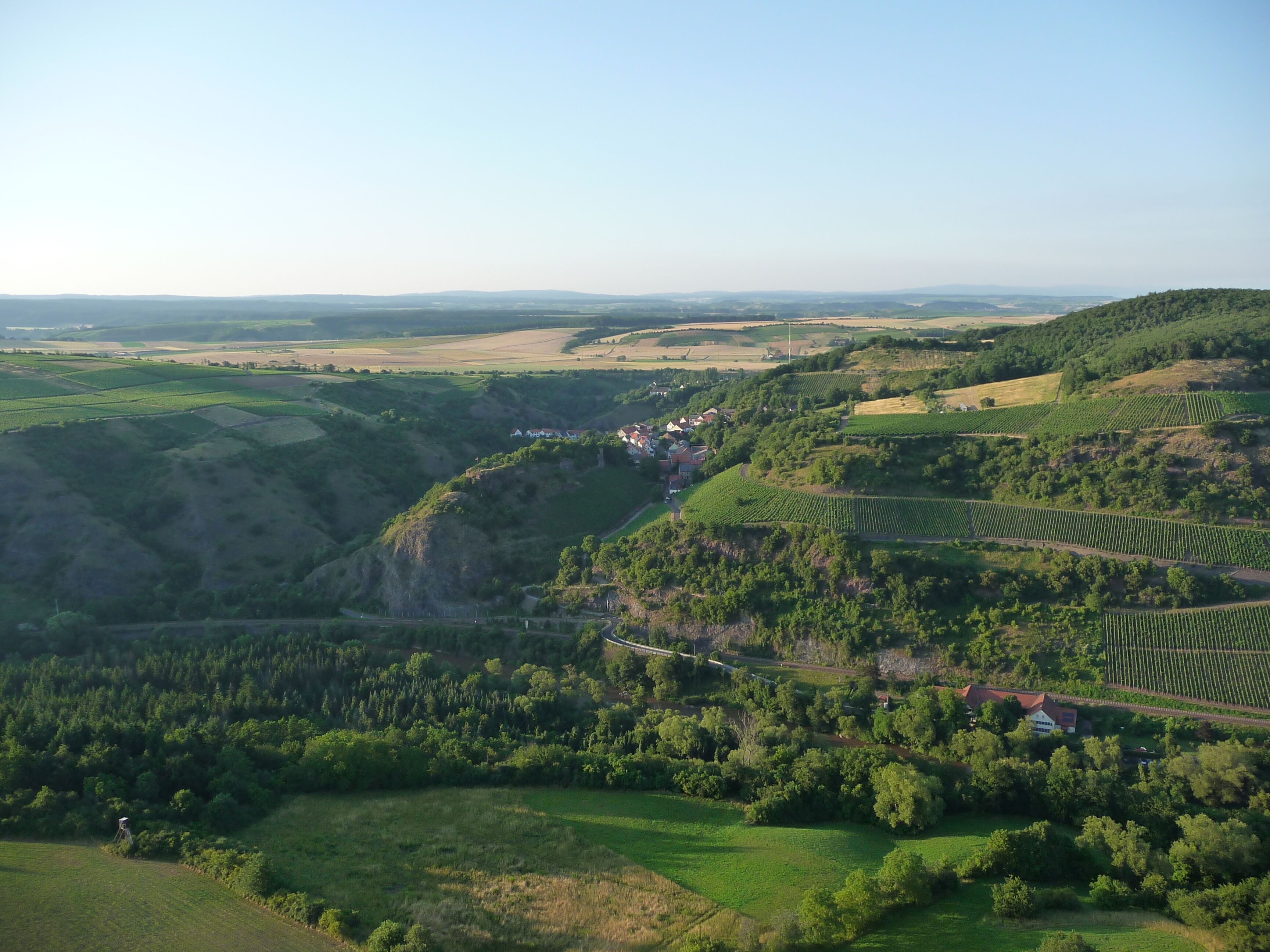 Blick über Niederthäler Hof und Schloßböckelheim Richtung Binger Wald