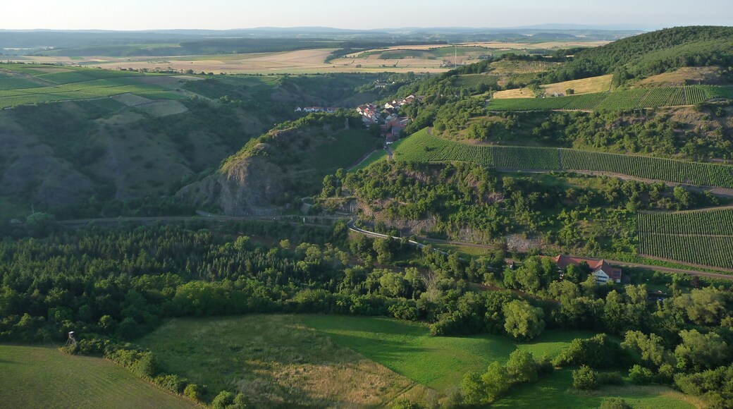 Blick über Niederthäler Hof und Schloßböckelheim Richtung Binger Wald