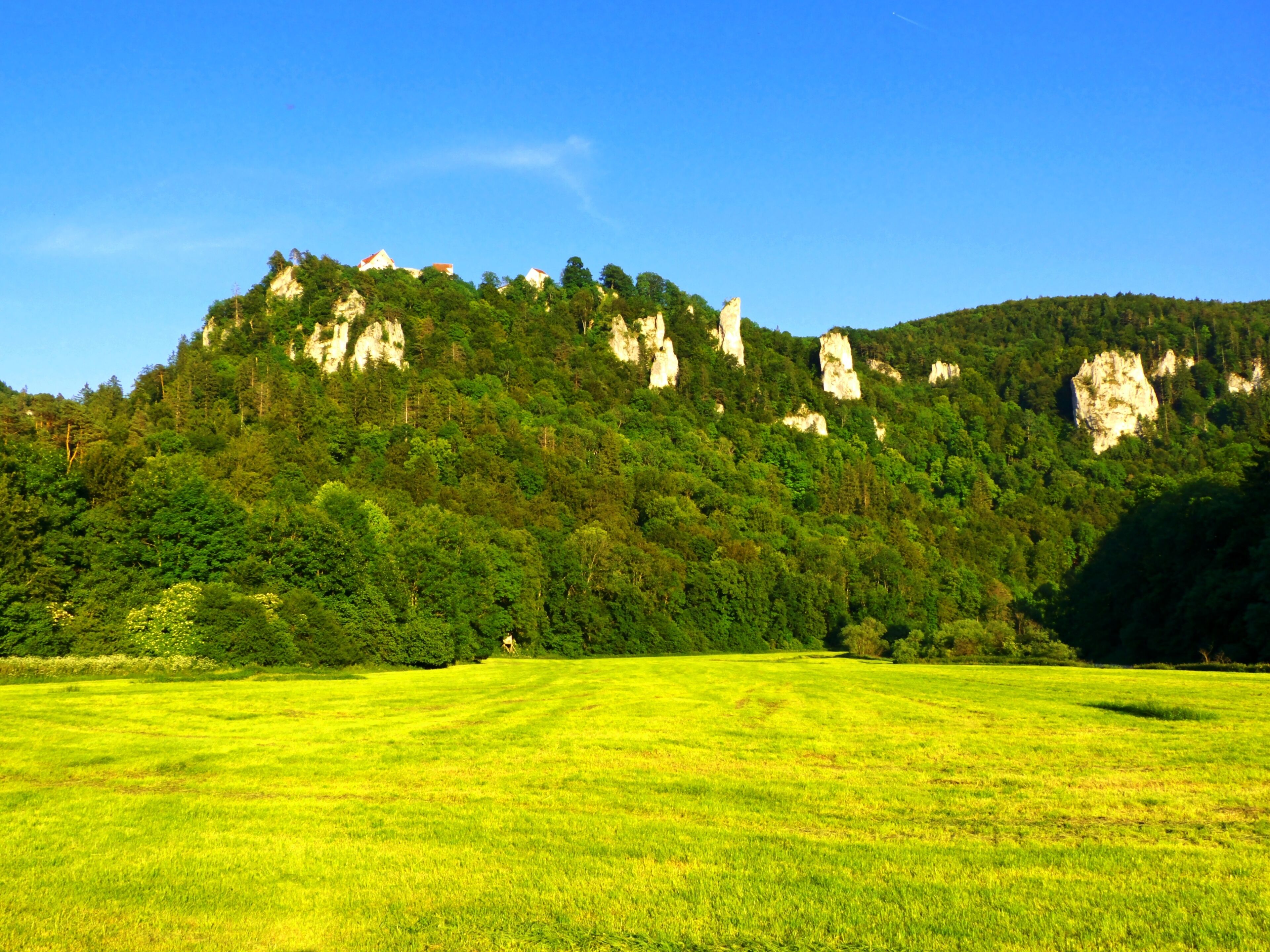 A green field with a forested hill and rocky outcrops.