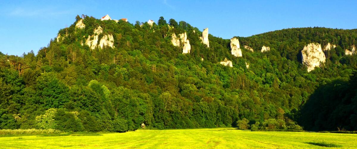 A green field with a forested hill and rocky outcrops.