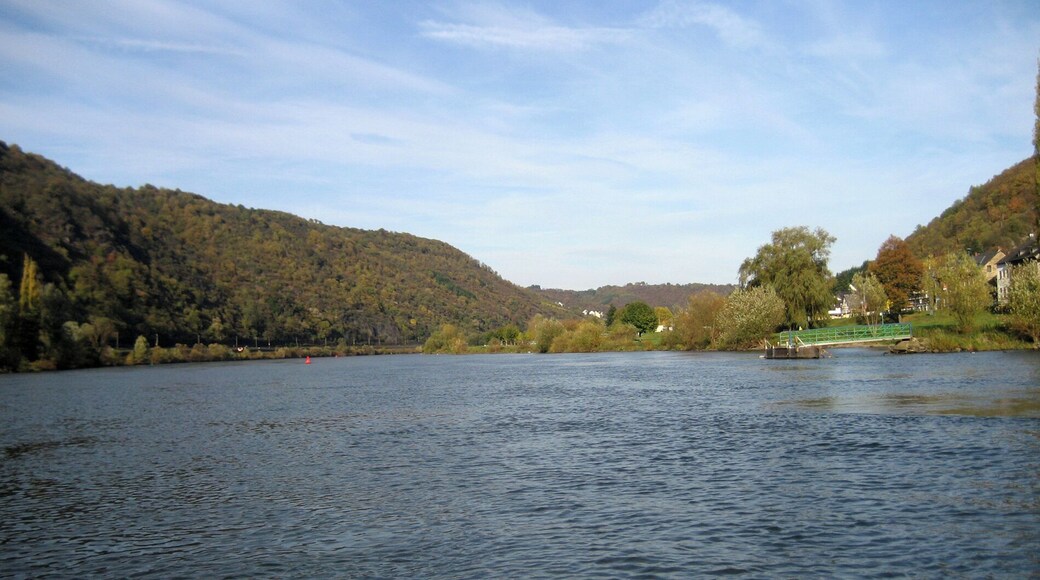 Moselle river seen from foot ferry at Burgen, Germany