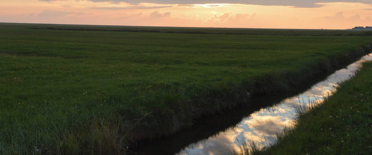 In this picture you can see drainage ditches (also called Grüppen in German). They're typical for the landscape around the North Sea. These drainage ditches in the picture are located on a small flat island in the North Sea called Hallig Hooge. You can see the reflexion of the clouds that are illuminated by the setting sun.