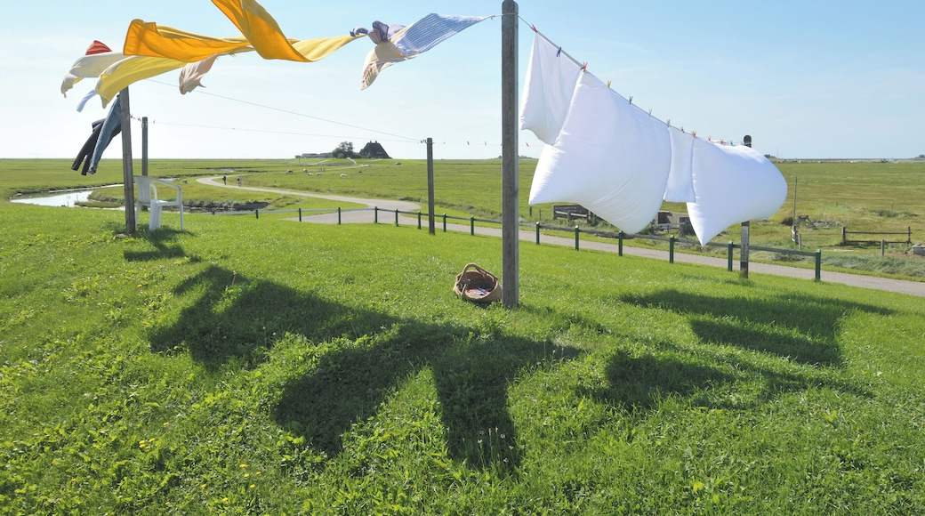View from the Backenswarft on Hallig Hooge. The Hallig Hooge is the second largest of the ten islets in the Schleswig-Holstein Wadden Sea. She is surrounded by an approximately 1.20 meters high stone dyke and is thus protected from light storm surges. Nevertheless Hallig Hooge is flooded completely two to five times a year. The Houses are built on high mounds. Therefore they can withstand the storm surges. The Hallig Hooge has twelve mounds. The Backenswarft is the second largest mound with a dozen buildings. The buildings surround the pond with rainwater.