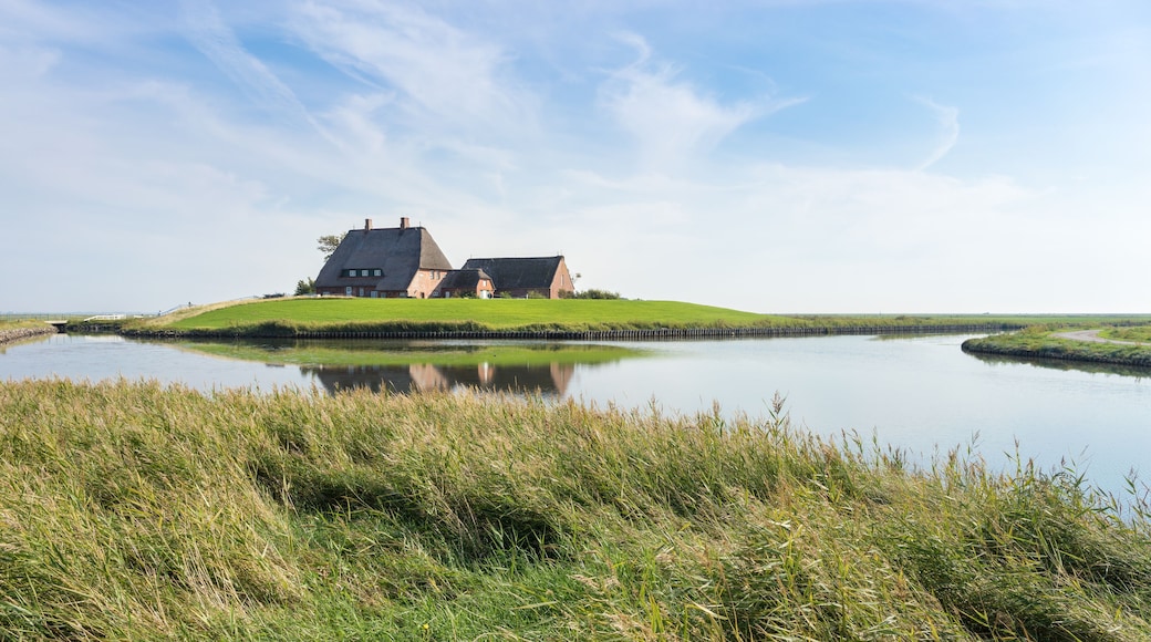 Hallig Hooge